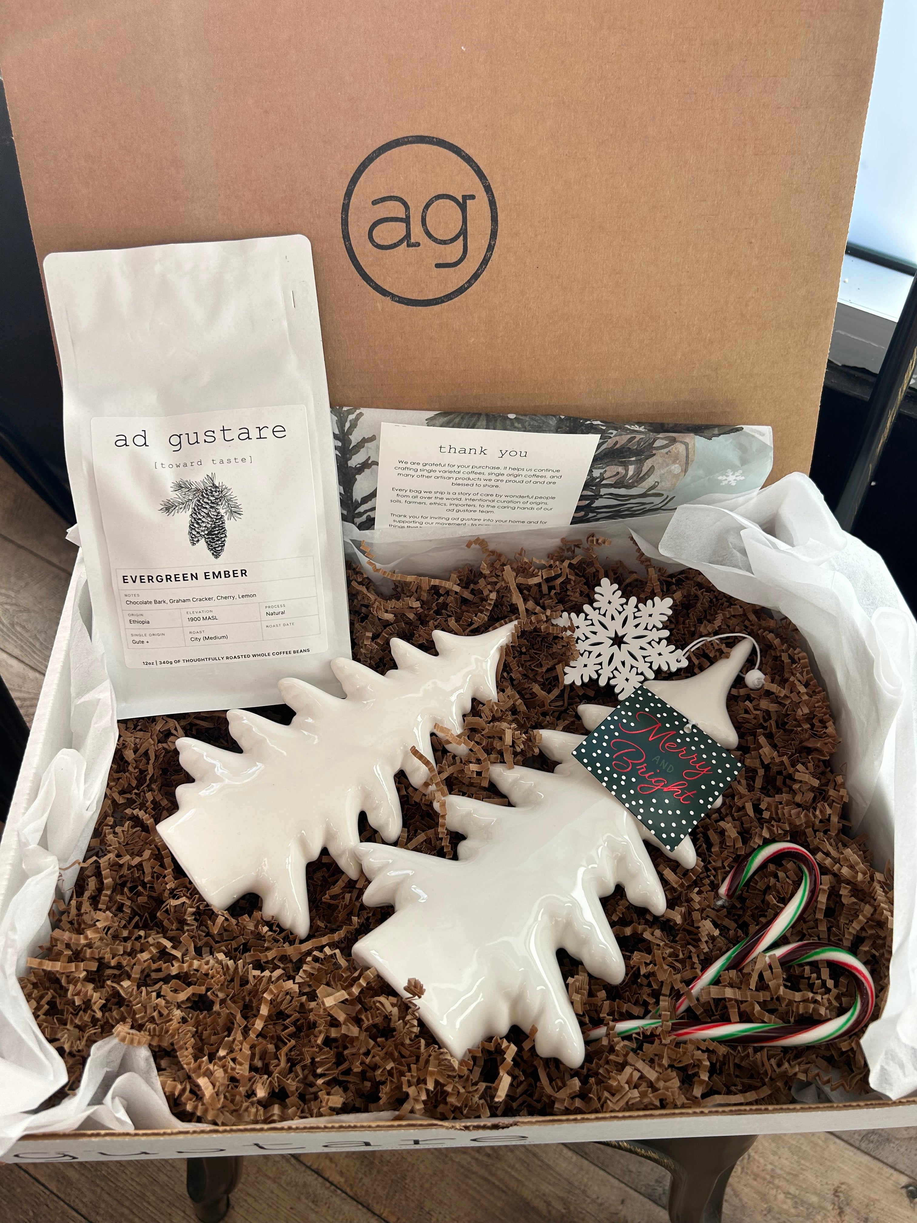 Evergreen & Ivory Gift Box: Ceramic Trees with Ethiopian Evergreen Ember Coffee